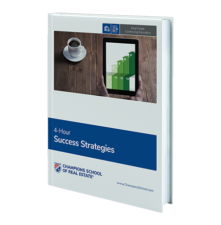 Book Cover - Success Strategies